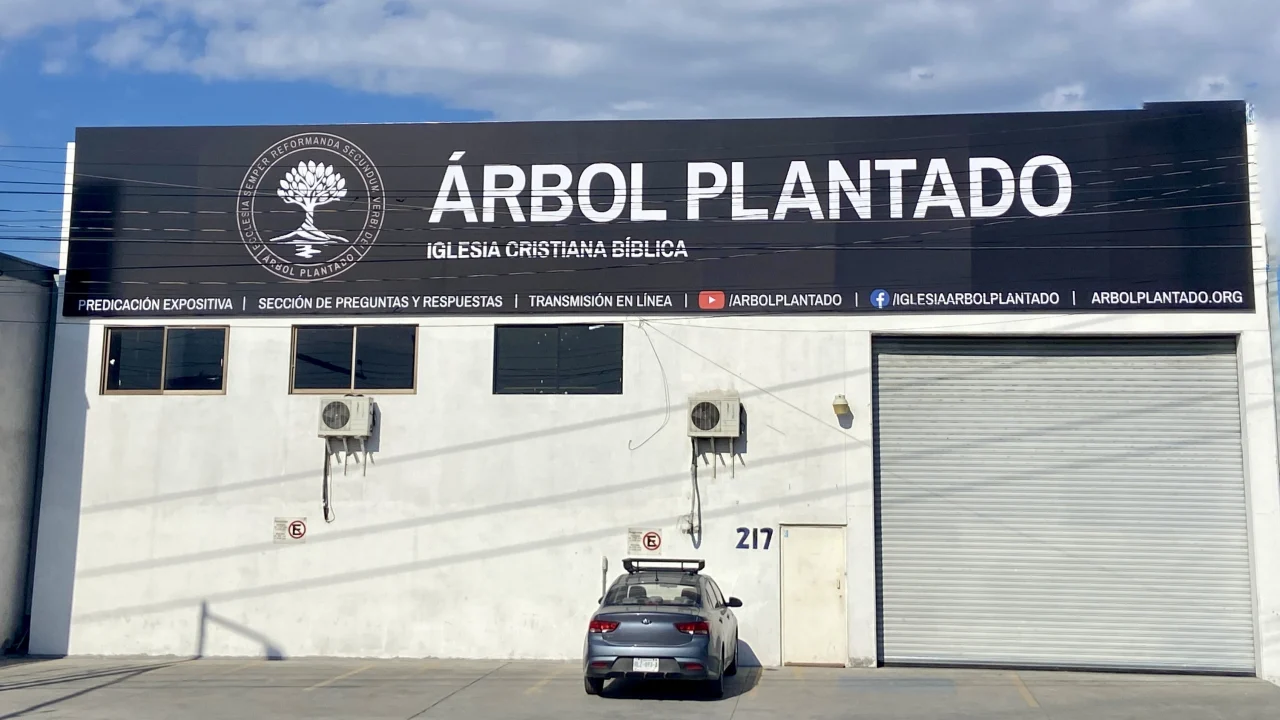 Fachada de Árbol Plantado